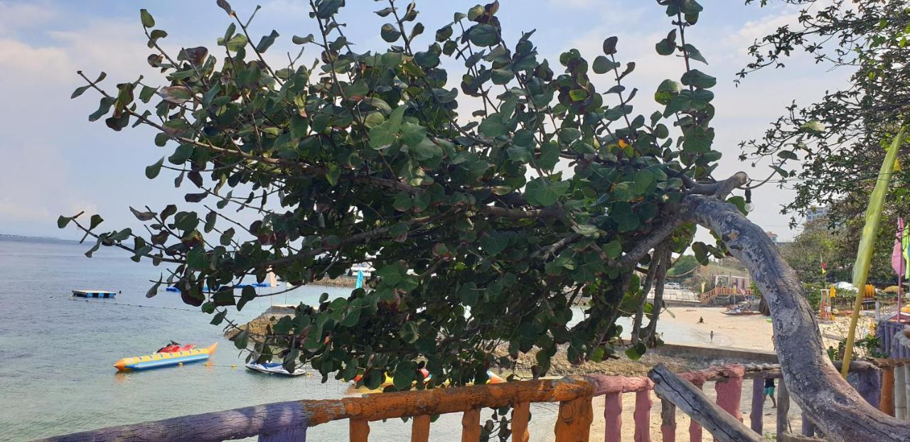 Mactan Newtown Condo With Garden And Ocean View 8Newtown Blvd มักตัน ภายนอก รูปภาพ